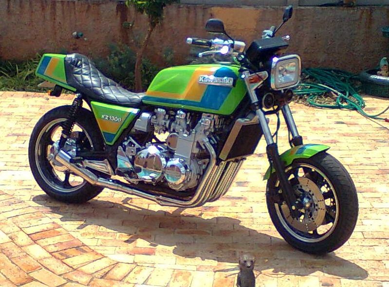 dinos1300