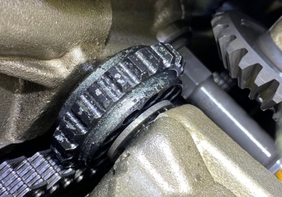 TackelHappy's Gallery